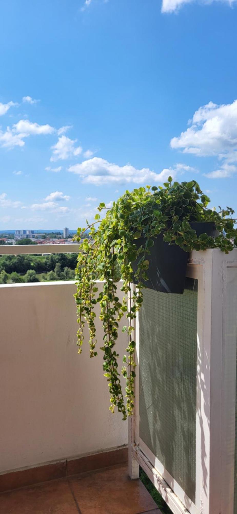 Apartment Blessing Zagreb